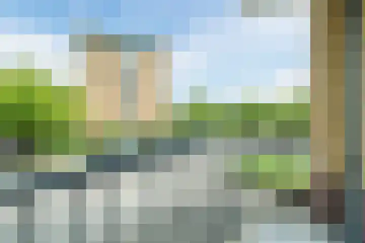Tolsteegplantsoen 35 Utrecht thumbnail 10