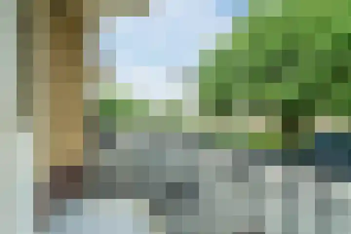 Tolsteegplantsoen 35 Utrecht thumbnail 11