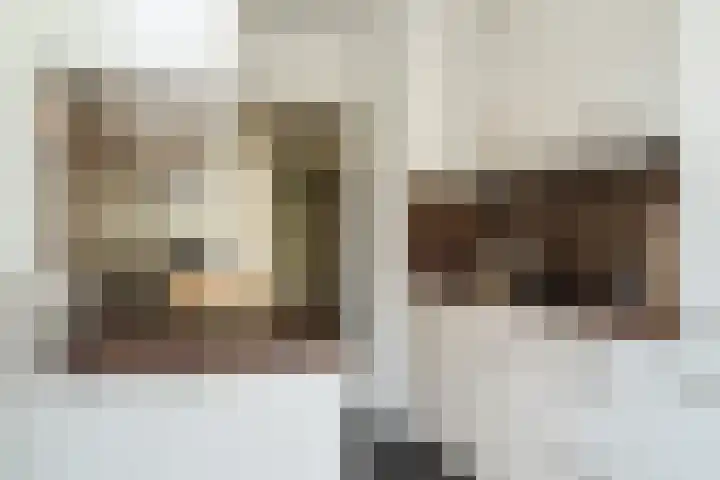 Tolsteegplantsoen 35 Utrecht thumbnail 12