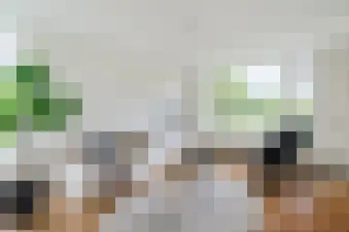 Tolsteegplantsoen 35 Utrecht thumbnail 17