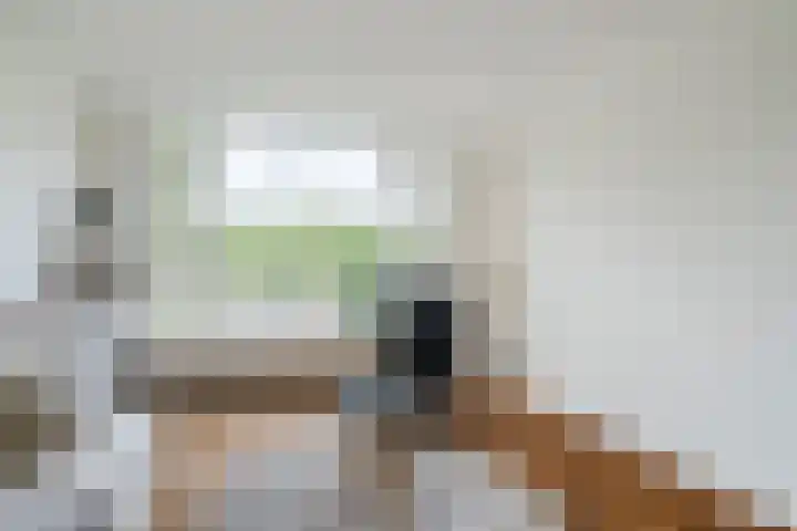 Tolsteegplantsoen 35 Utrecht thumbnail 18