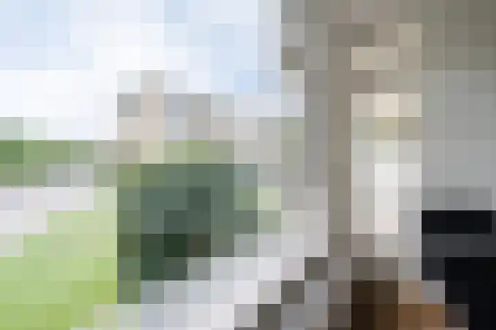 Tolsteegplantsoen 35 Utrecht thumbnail 19