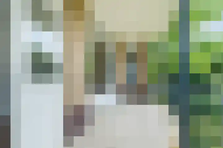 Tolsteegplantsoen 35 Utrecht thumbnail 20