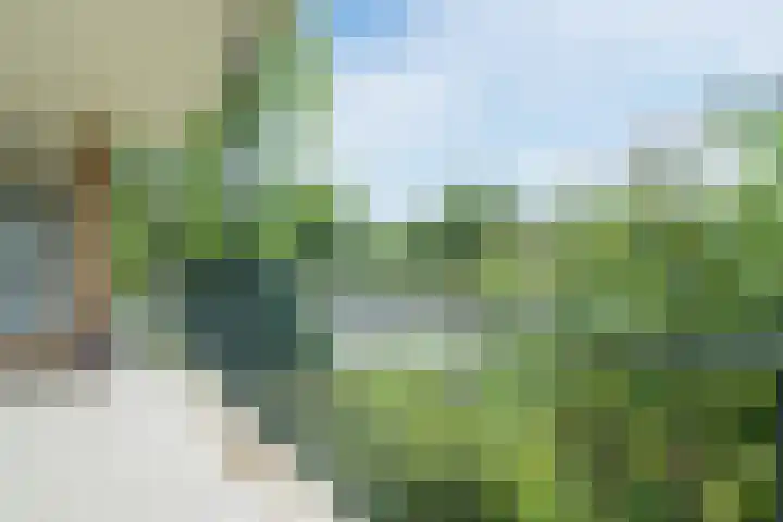 Tolsteegplantsoen 35 Utrecht thumbnail 22