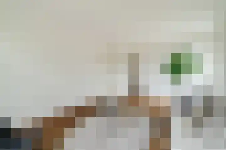 Tolsteegplantsoen 35 Utrecht thumbnail 24
