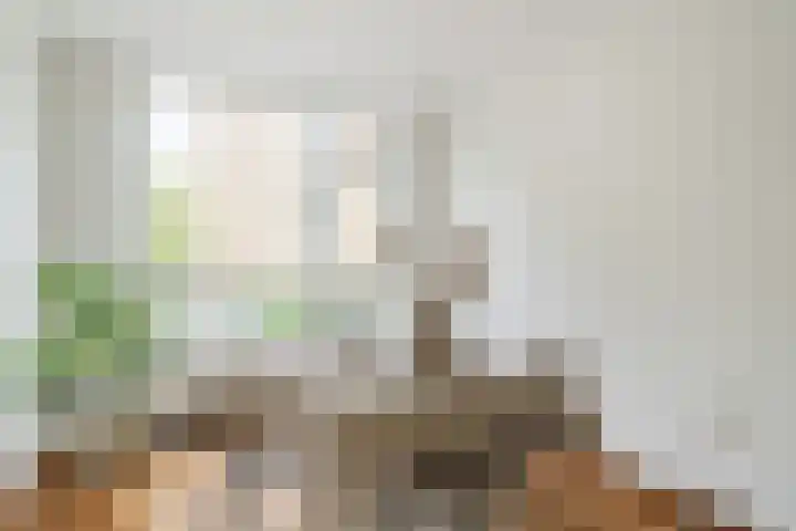 Tolsteegplantsoen 35 Utrecht thumbnail 25