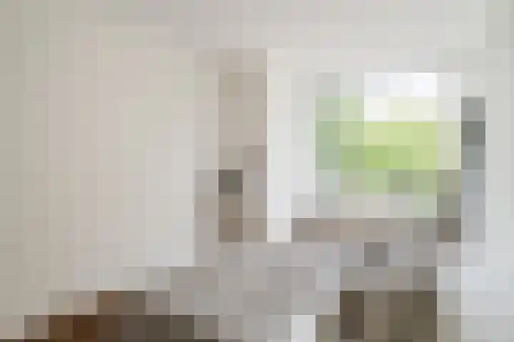 Tolsteegplantsoen 35 Utrecht thumbnail 30