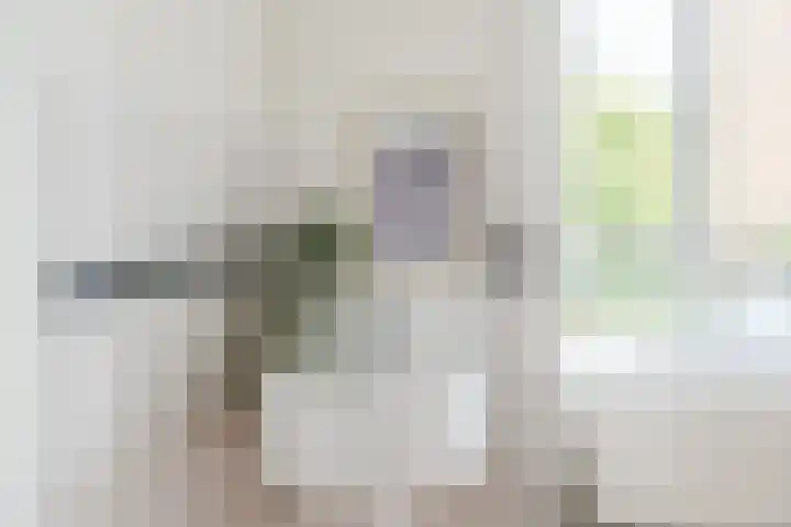 Tolsteegplantsoen 35 Utrecht thumbnail 31
