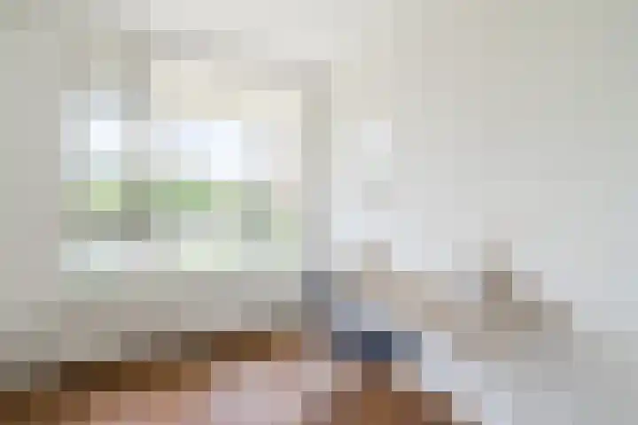Tolsteegplantsoen 35 Utrecht thumbnail 33