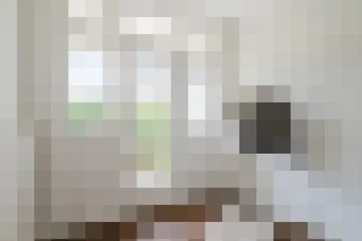 Tolsteegplantsoen 35 Utrecht thumbnail 36