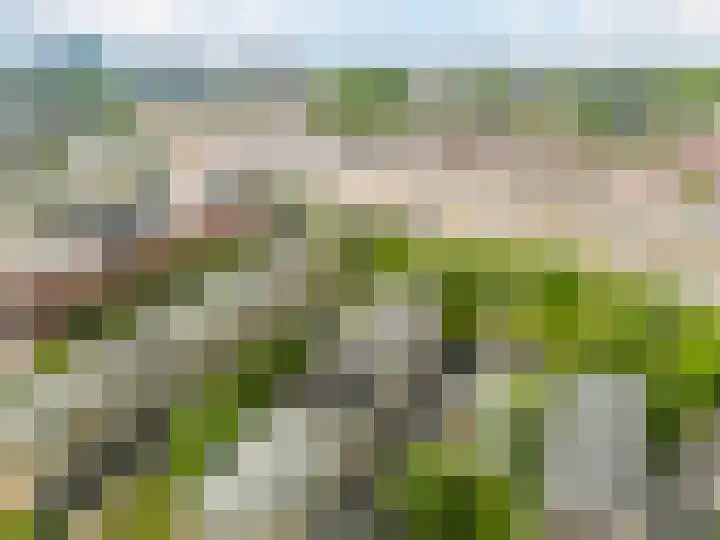 Tolsteegplantsoen 35 Utrecht thumbnail 42