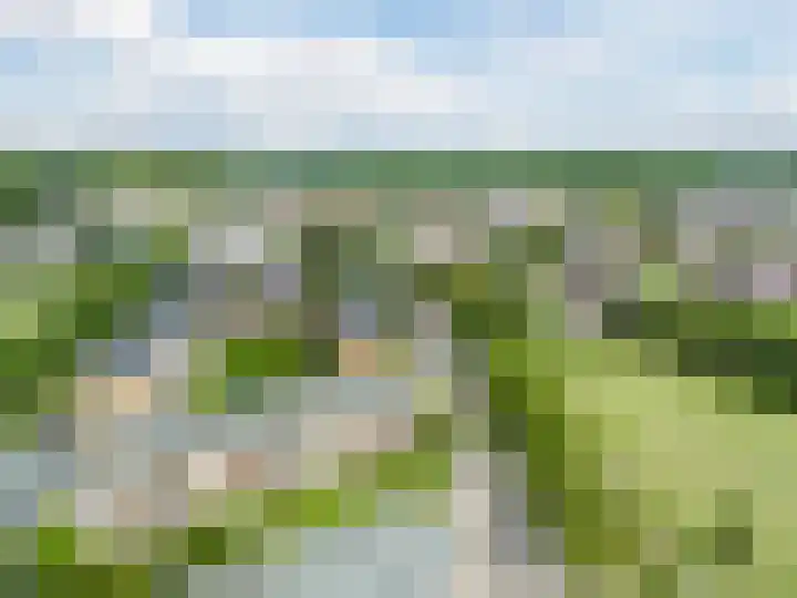 Tolsteegplantsoen 35 Utrecht thumbnail 43