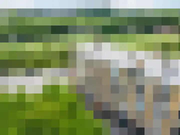 Tolsteegplantsoen 35 Utrecht thumbnail 46