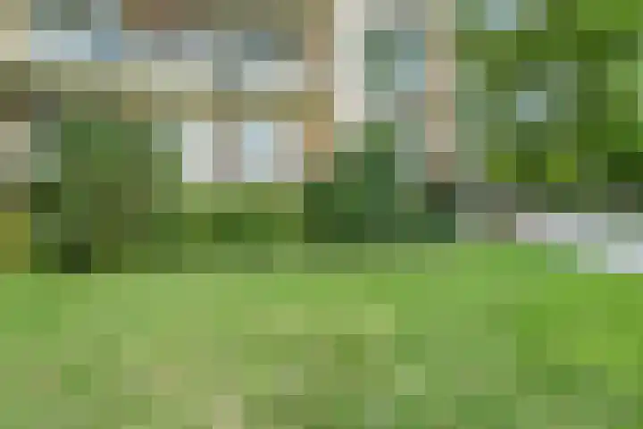 Tolsteegplantsoen 35 Utrecht thumbnail 50
