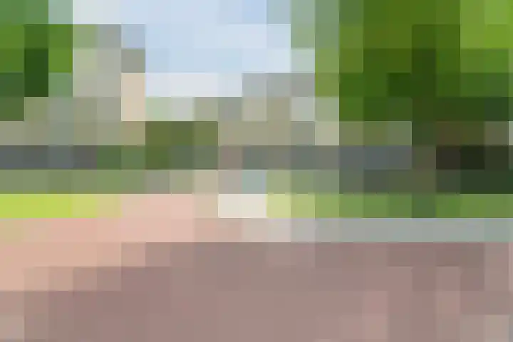 Tolsteegplantsoen 35 Utrecht thumbnail 52