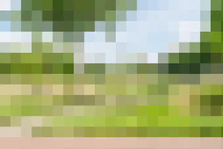 Tolsteegplantsoen 35 Utrecht thumbnail 53