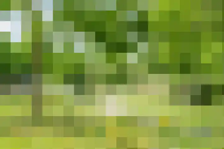 Tolsteegplantsoen 35 Utrecht thumbnail 54