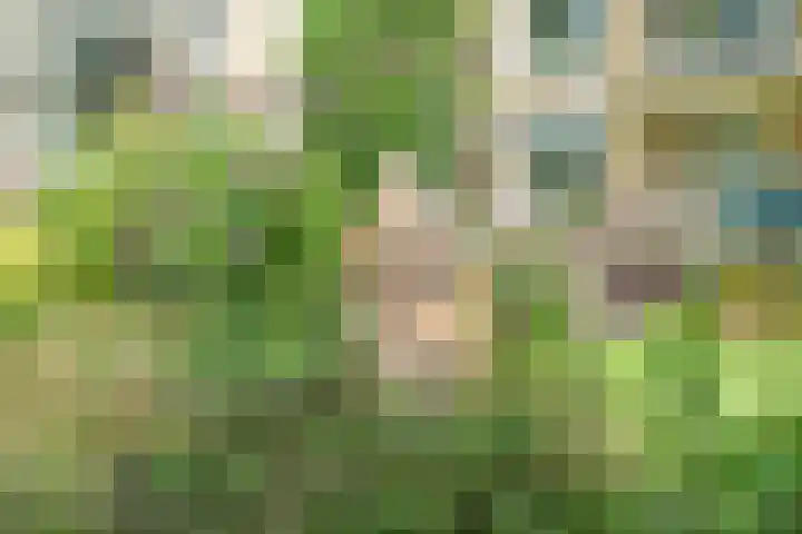 Tolsteegplantsoen 35 Utrecht thumbnail 55