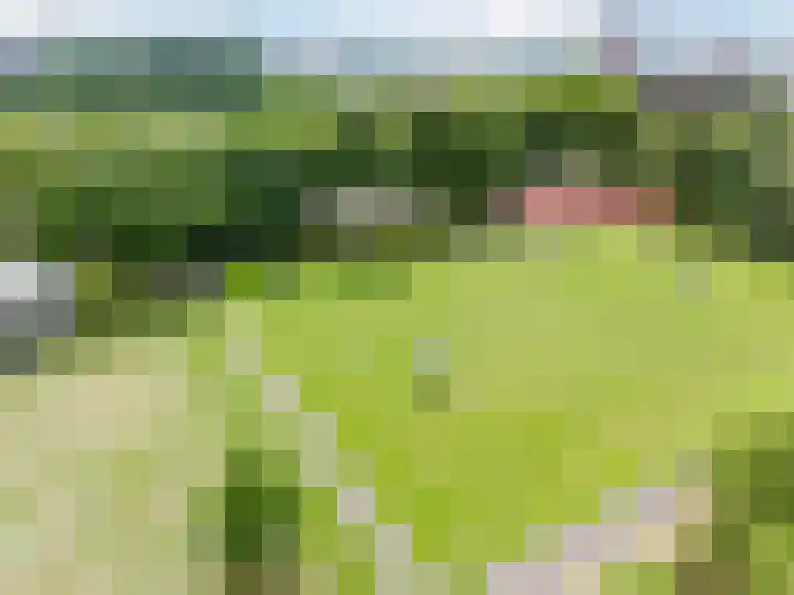 Tolsteegplantsoen 35 Utrecht thumbnail 56