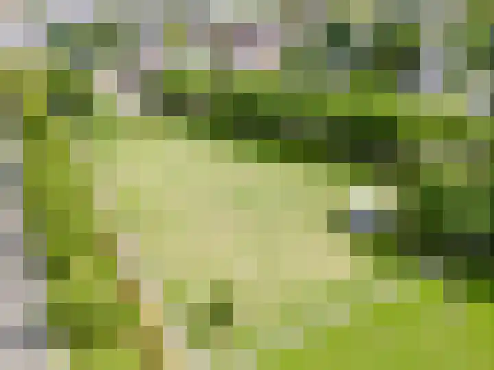 Tolsteegplantsoen 35 Utrecht thumbnail 57