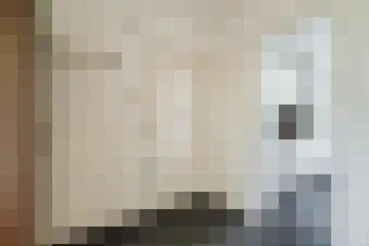 Tolsteegplantsoen 35 Utrecht thumbnail 7