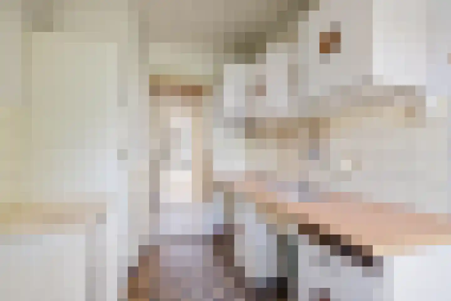 Tolsteegplantsoen 42 1 Utrecht thumbnail 18