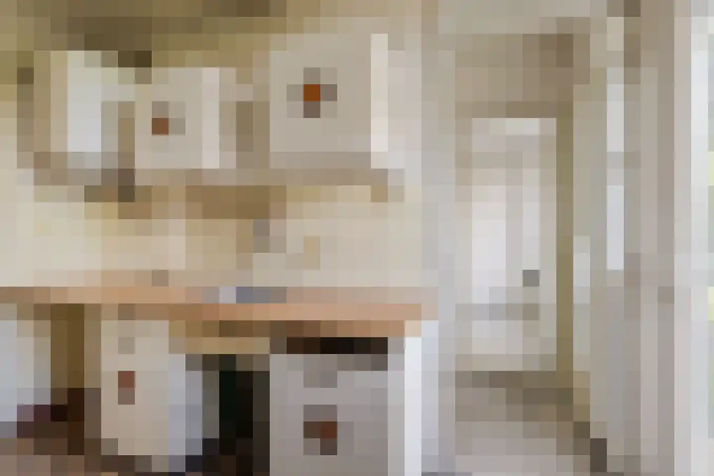 Tolsteegplantsoen 42 1 Utrecht thumbnail 19