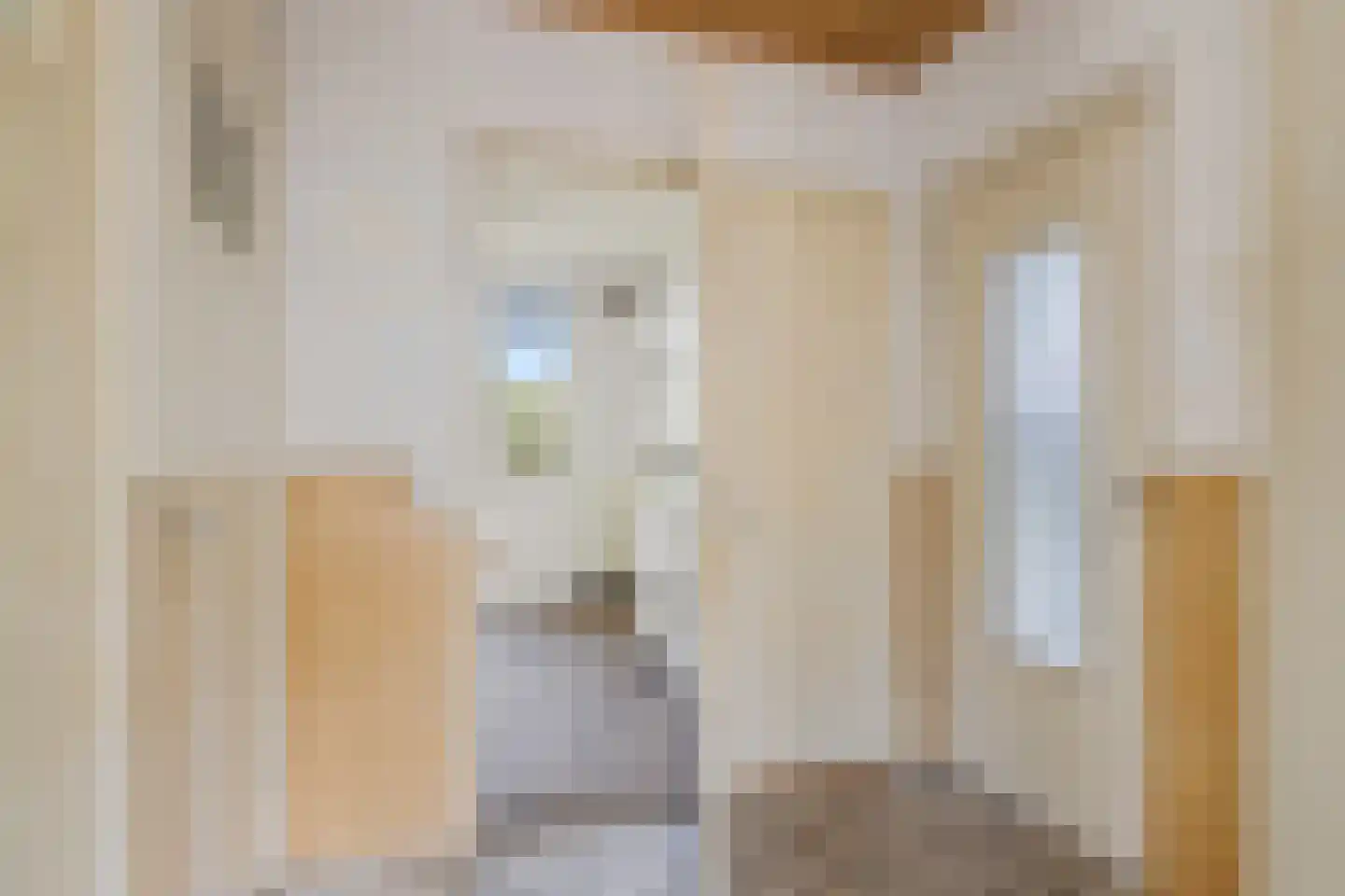 Tolsteegplantsoen 42 1 Utrecht thumbnail 27