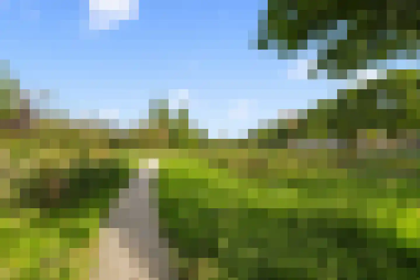 Tolsteegplantsoen 42 1 Utrecht thumbnail 32