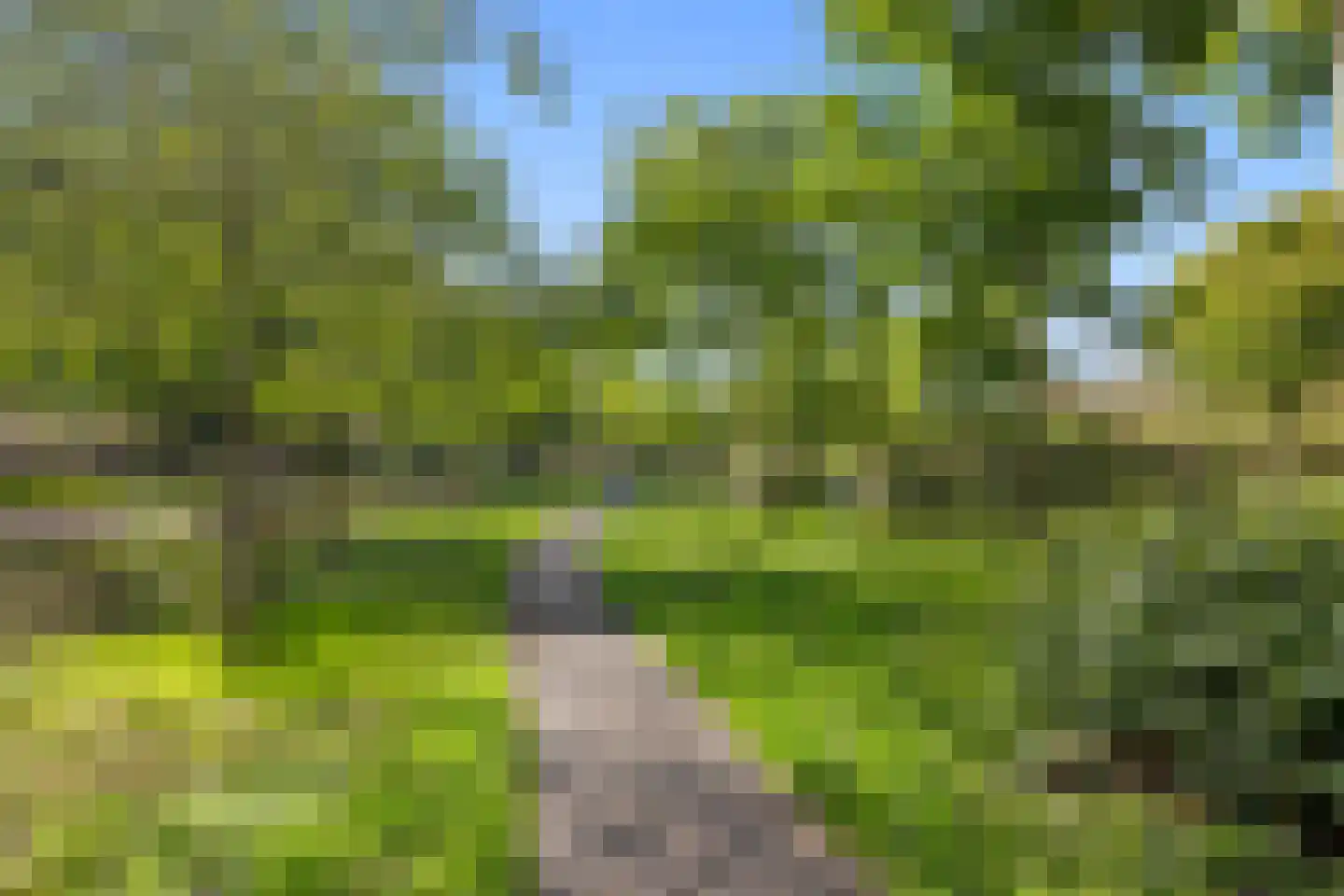 Tolsteegplantsoen 42 1 Utrecht thumbnail 33
