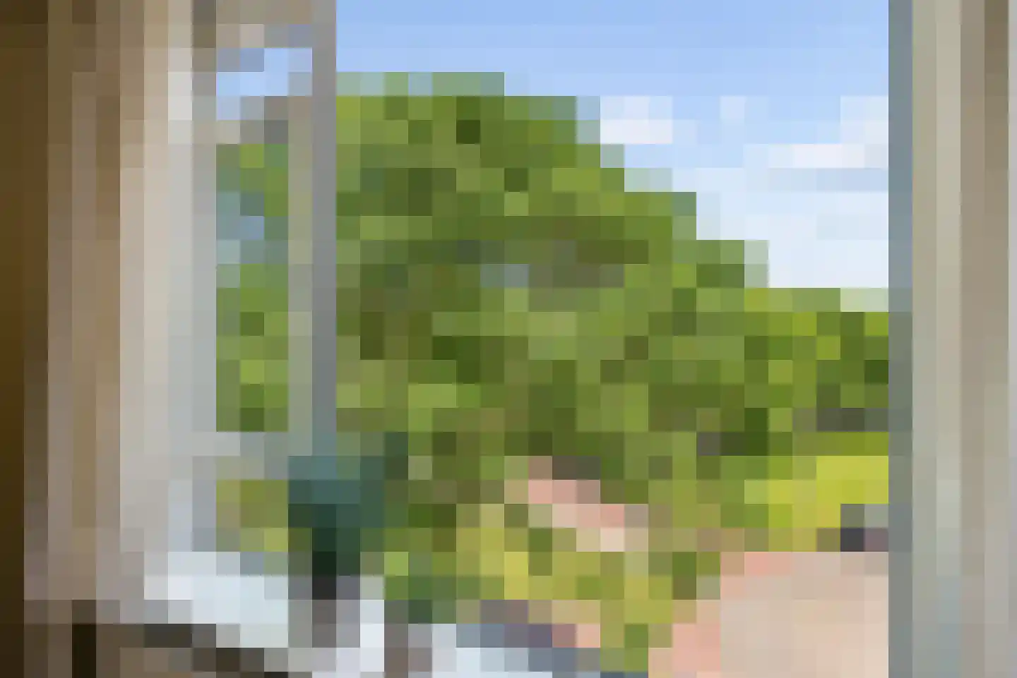 Tolsteegplantsoen 42 2 Utrecht thumbnail 12