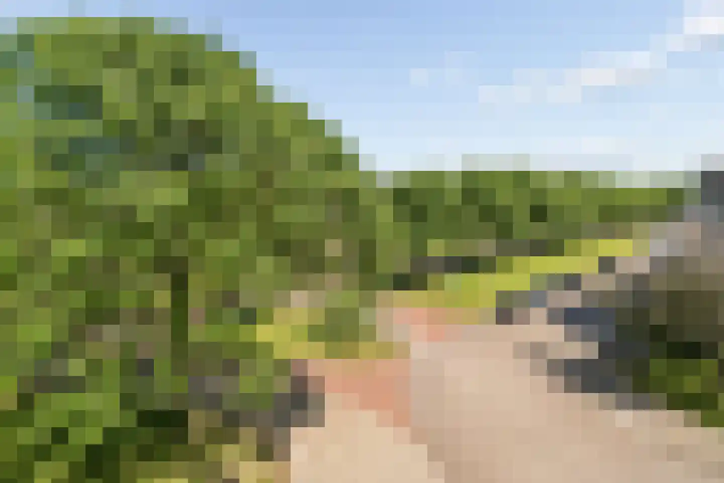 Tolsteegplantsoen 42 2 Utrecht thumbnail 13