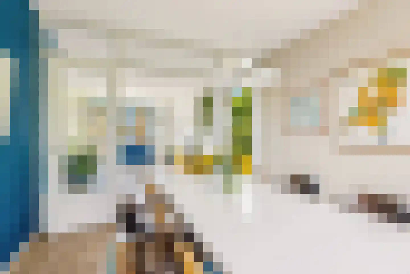 Tolsteegplantsoen 42 2 Utrecht thumbnail 14