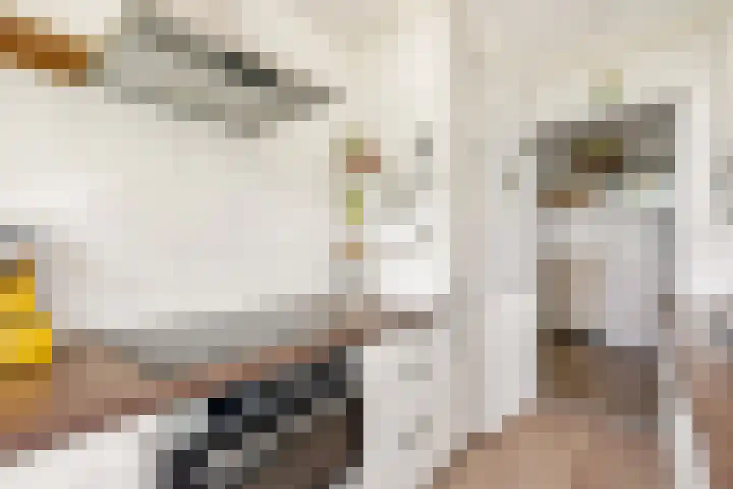 Tolsteegplantsoen 42 2 Utrecht thumbnail 15