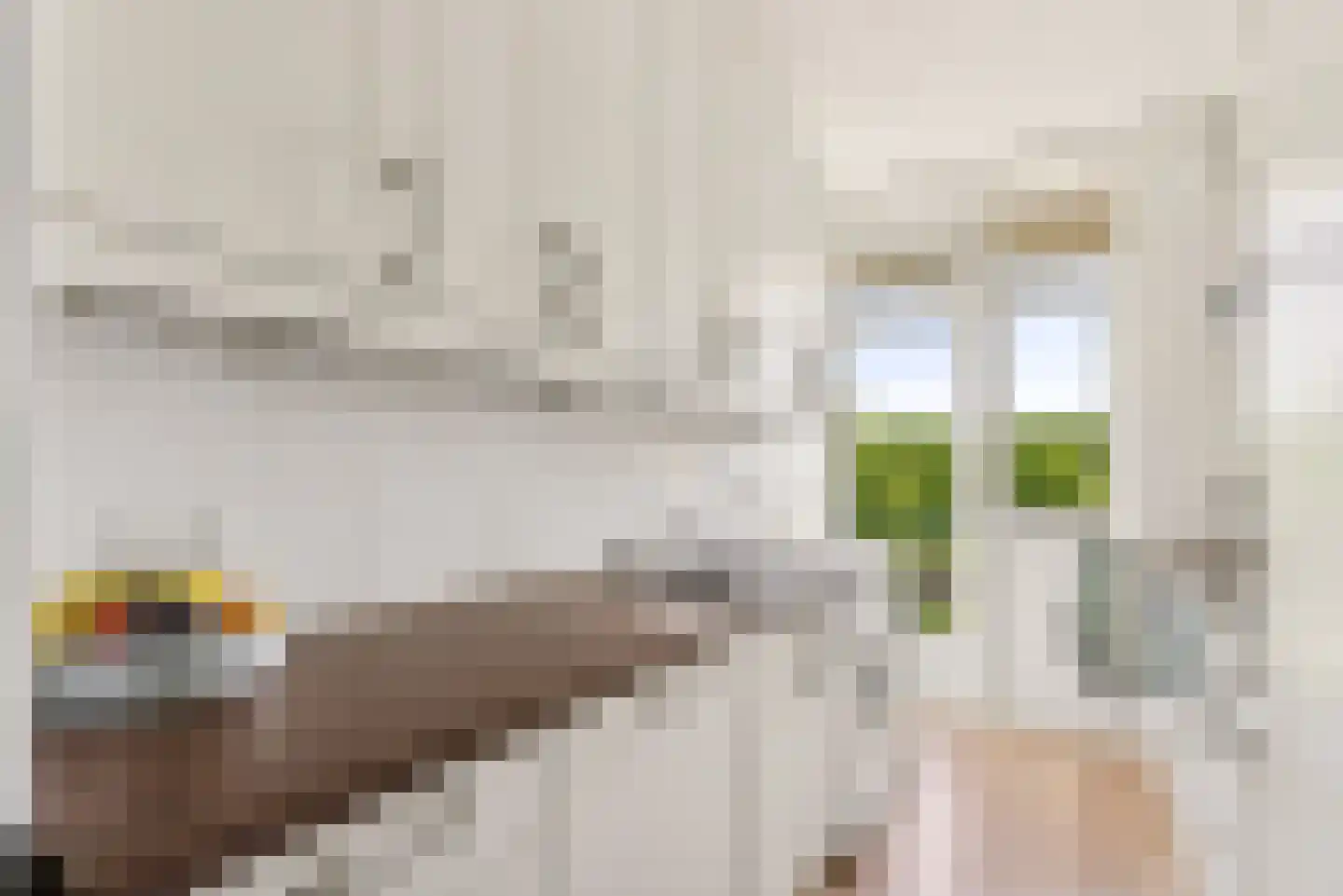 Tolsteegplantsoen 42 2 Utrecht thumbnail 16