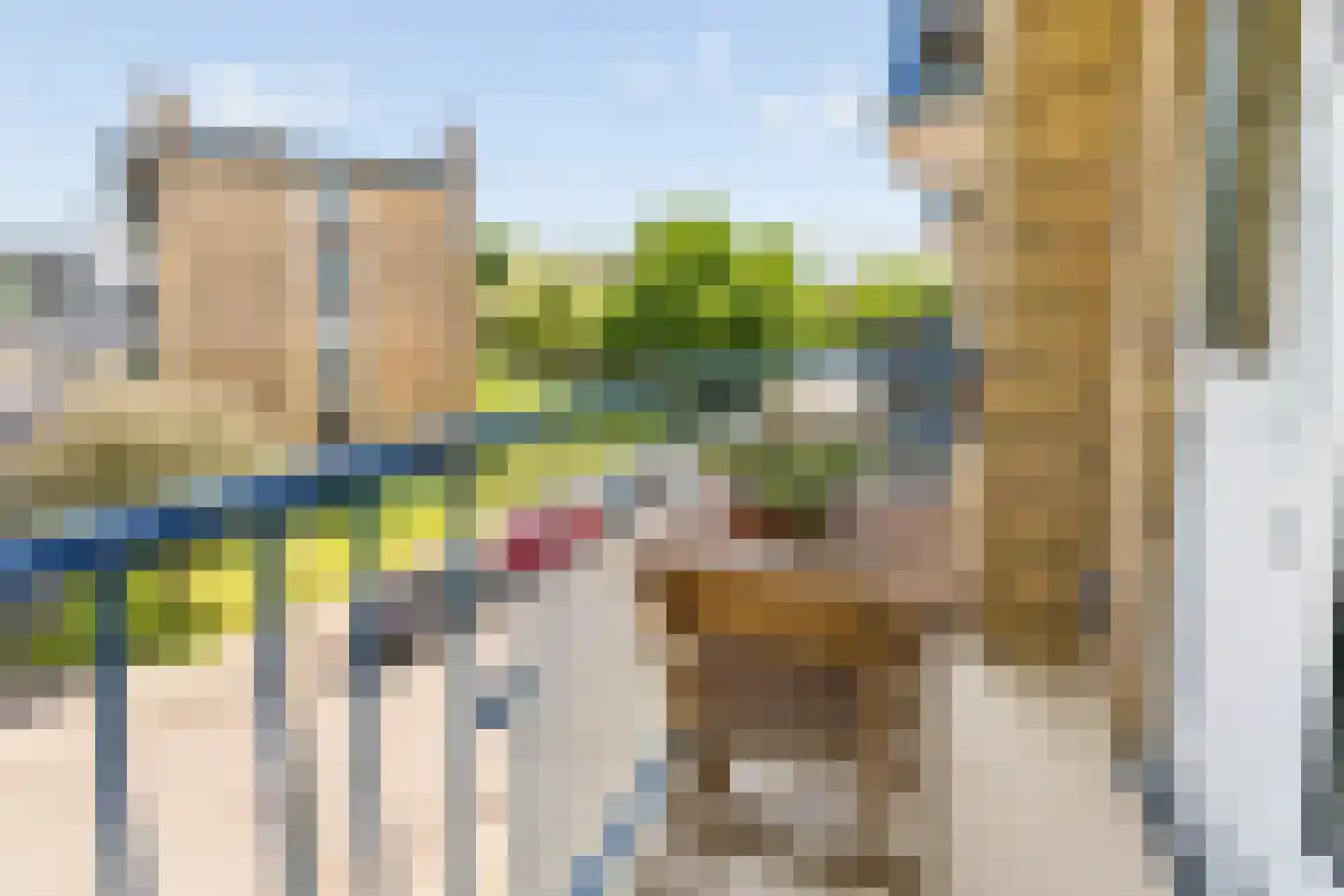 Tolsteegplantsoen 42 2 Utrecht thumbnail 21