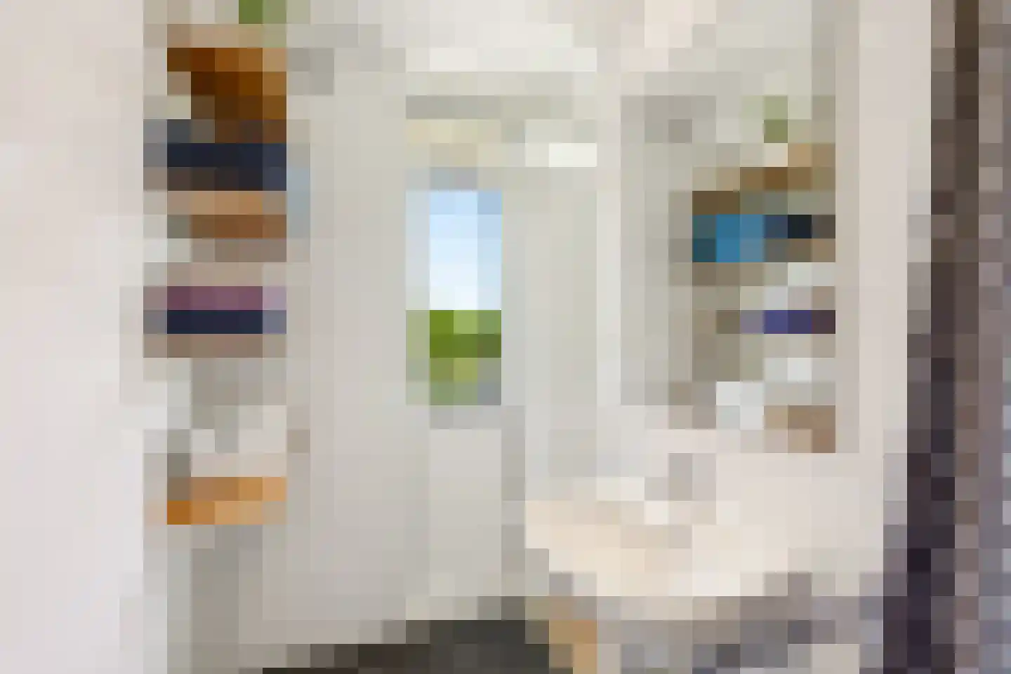 Tolsteegplantsoen 42 2 Utrecht thumbnail 24