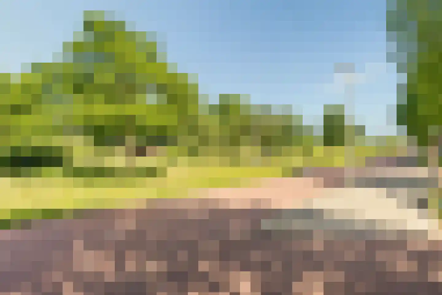 Tolsteegplantsoen 42 2 Utrecht thumbnail 28