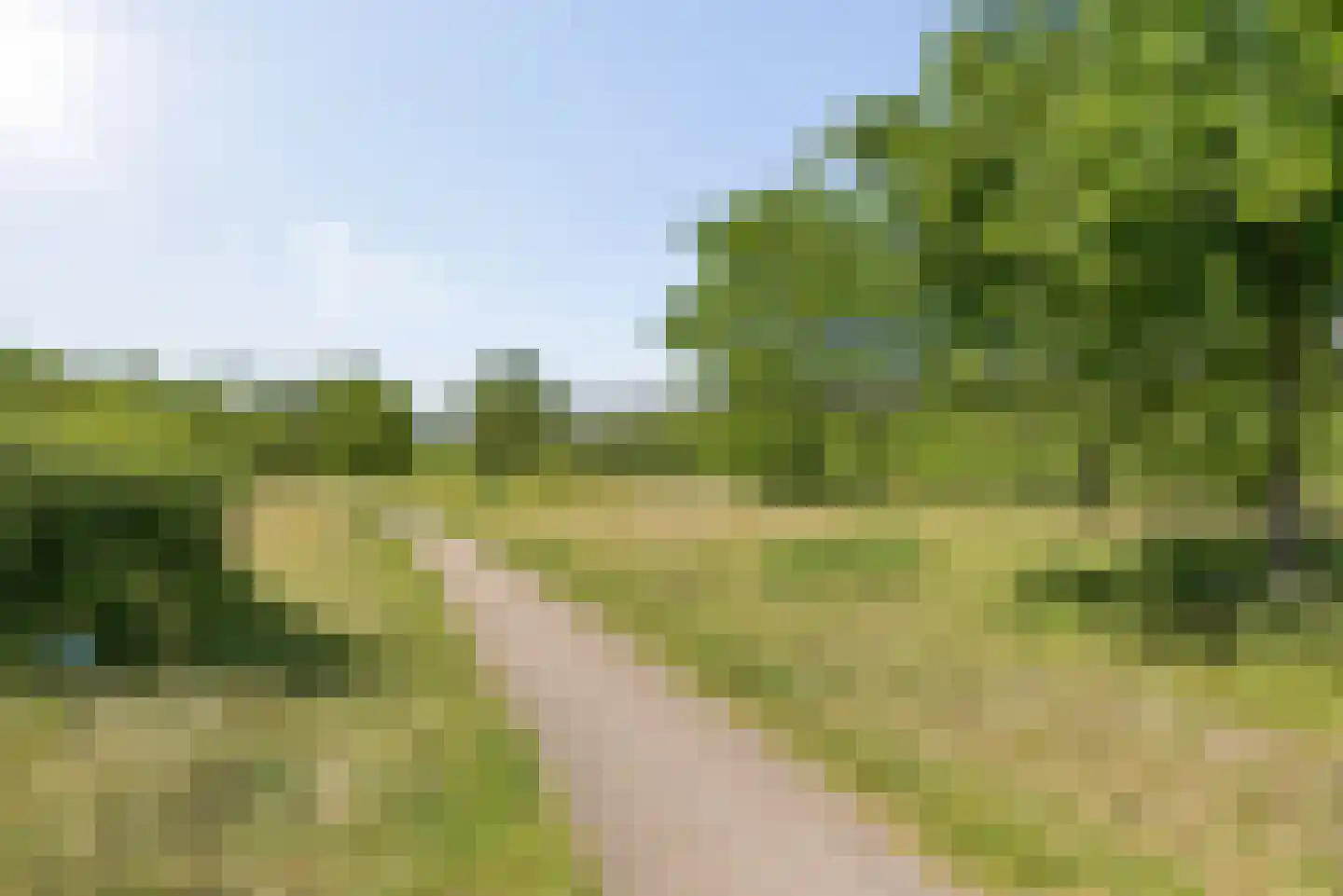 Tolsteegplantsoen 42 2 Utrecht thumbnail 29