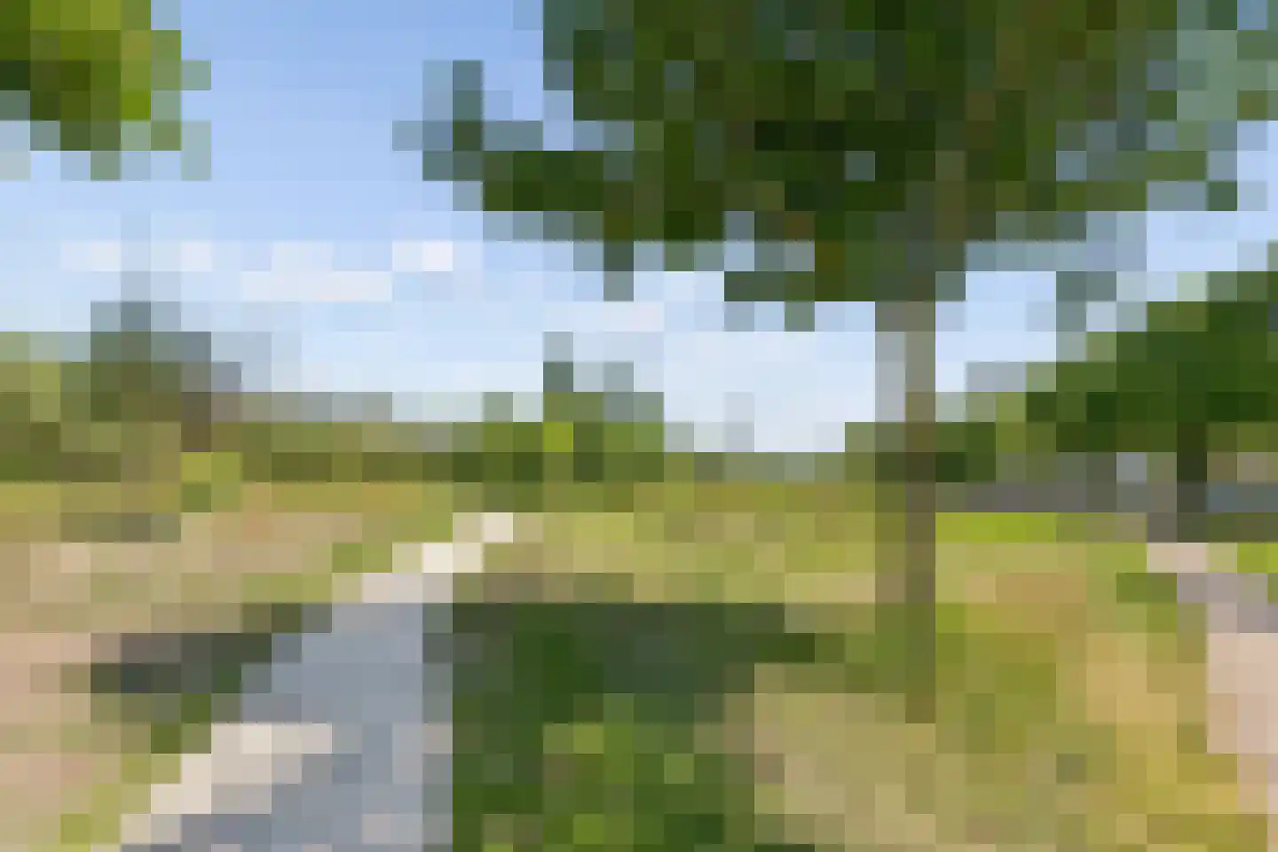 Tolsteegplantsoen 42 2 Utrecht thumbnail 30