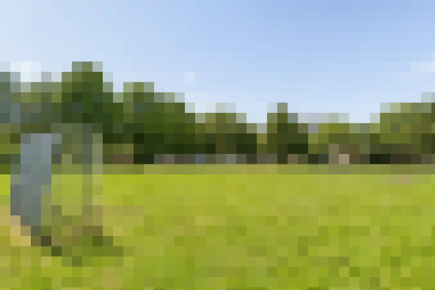 Tolsteegplantsoen 42 2 Utrecht thumbnail 31