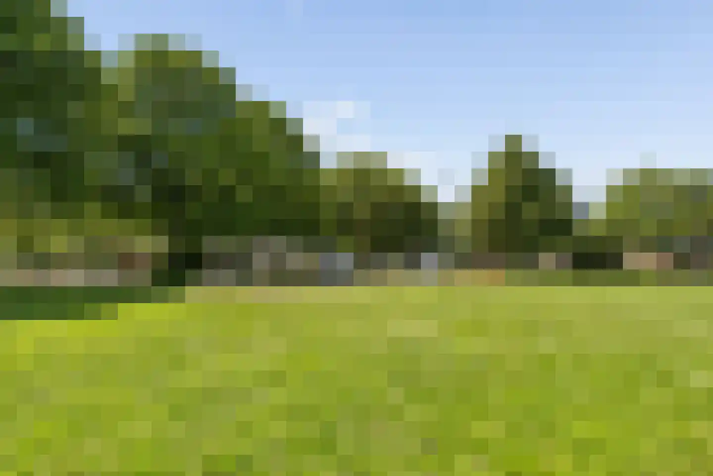 Tolsteegplantsoen 42 2 Utrecht thumbnail 32