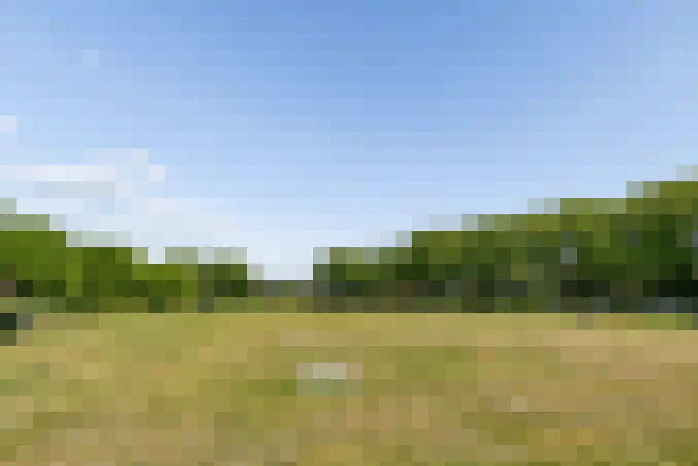 Tolsteegplantsoen 42 2 Utrecht thumbnail 34