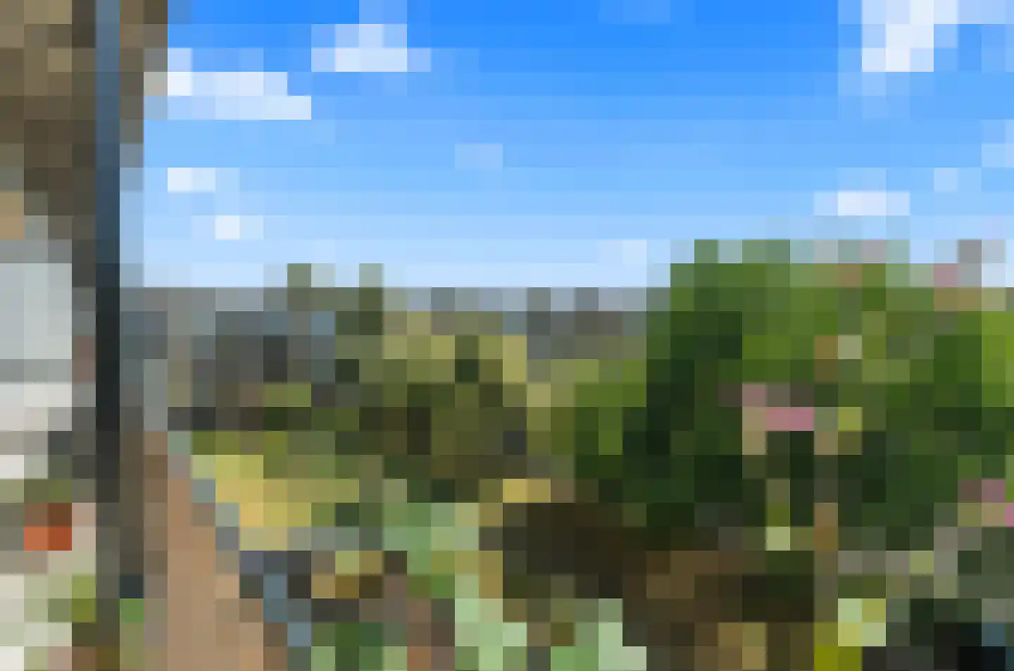 Tolsteegplantsoen 43 3 Utrecht thumbnail 11