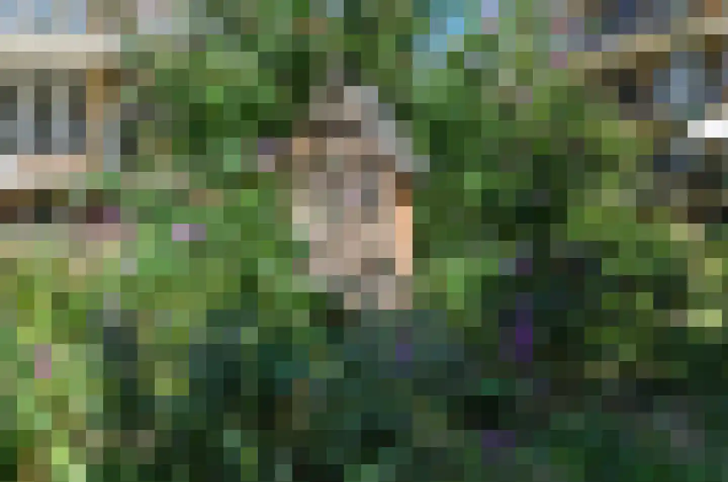 Tolsteegplantsoen 43 3 Utrecht thumbnail 12