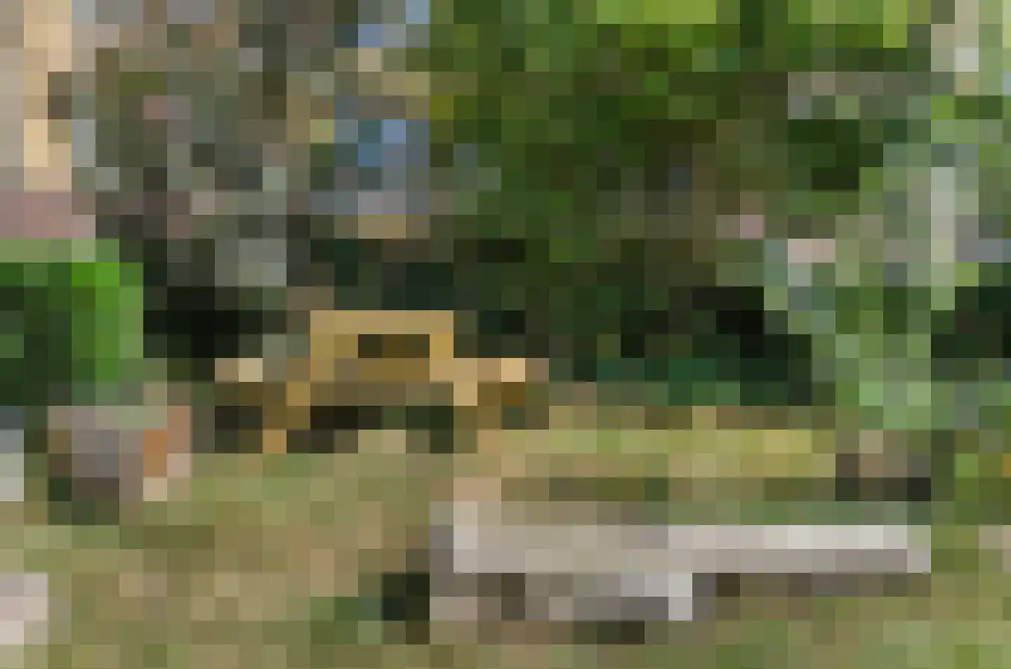 Tolsteegplantsoen 43 3 Utrecht thumbnail 13