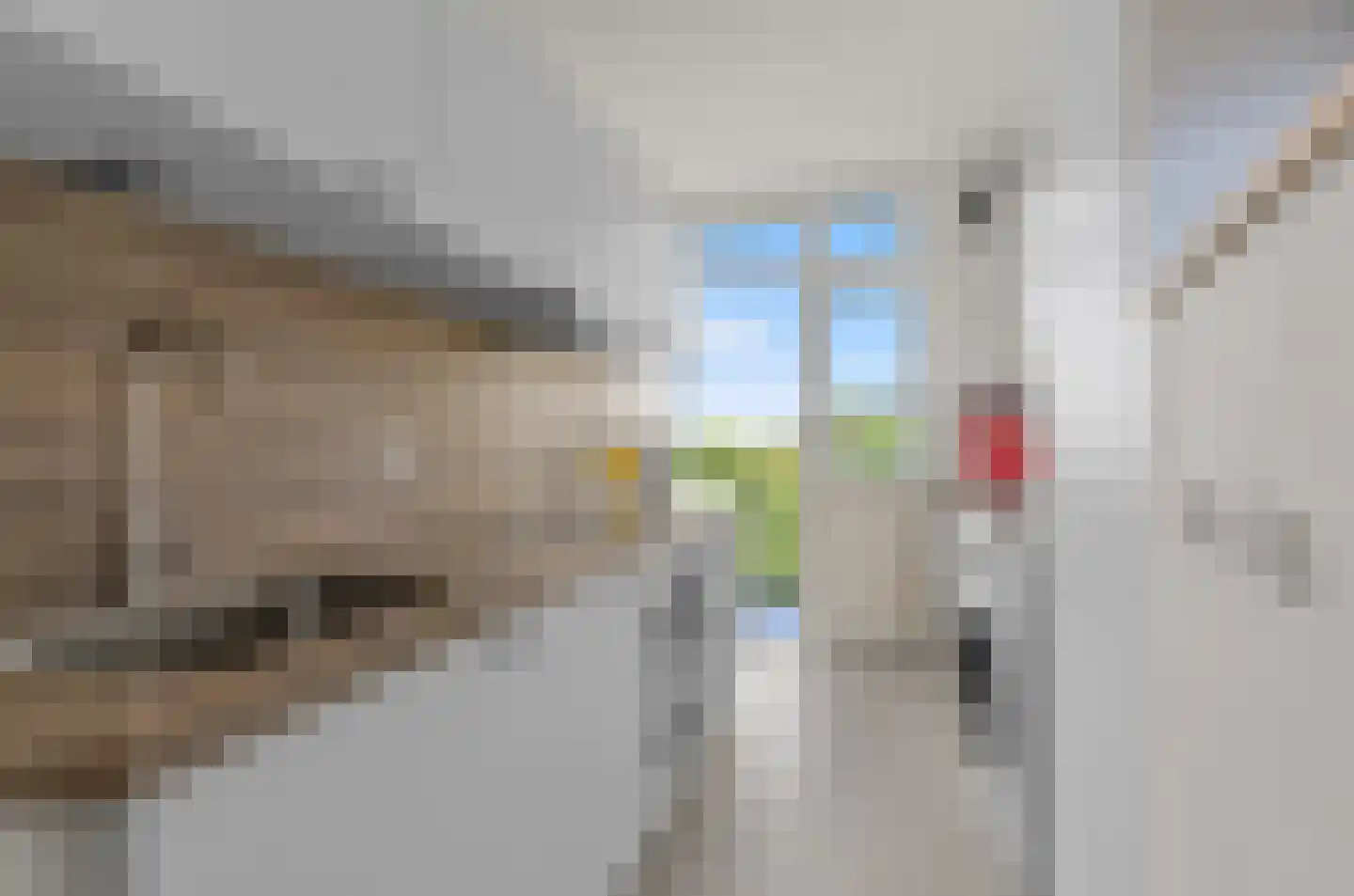 Tolsteegplantsoen 43 3 Utrecht thumbnail 15