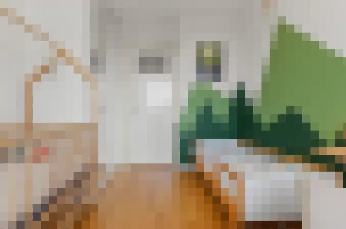 Tolsteegplantsoen 43 3 Utrecht thumbnail 25