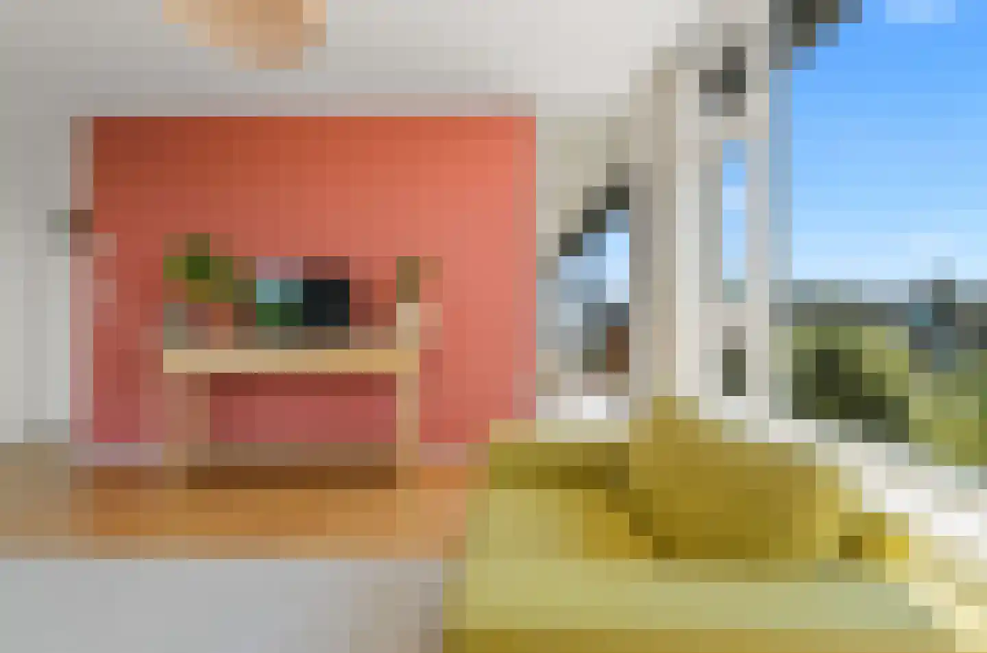 Tolsteegplantsoen 43 3 Utrecht thumbnail 9