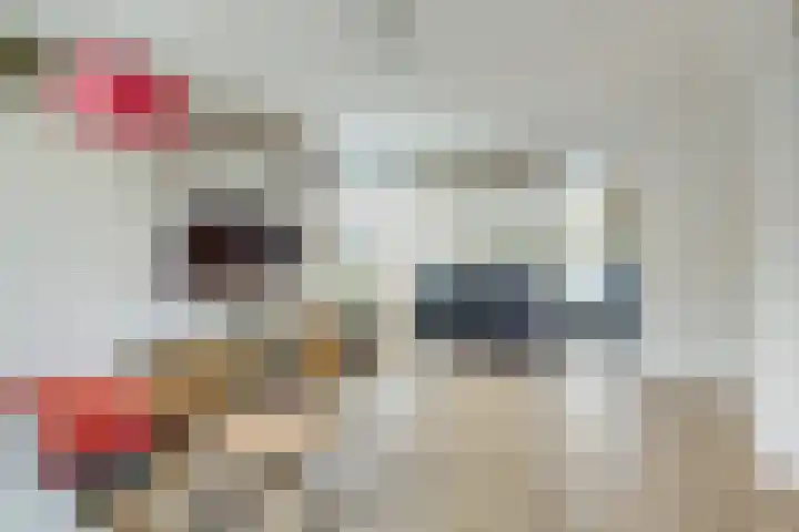 Tolsteegplantsoen 43 Utrecht thumbnail 14